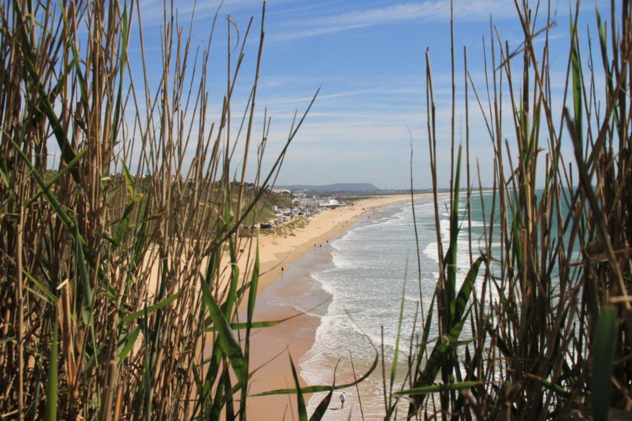 קוניל דה לה פרונטרה Estudio En El Centro De Conil מראה חיצוני תמונה