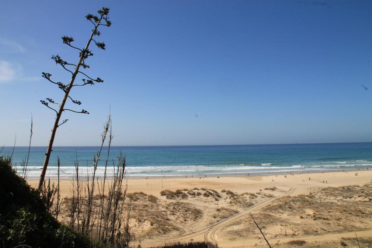 קוניל דה לה פרונטרה Estudio En El Centro De Conil מראה חיצוני תמונה
